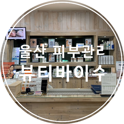바이수 이미지