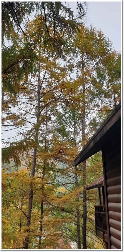 일구팔삼 이미지