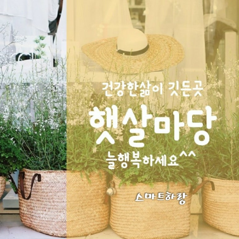 햇살인력 이미지