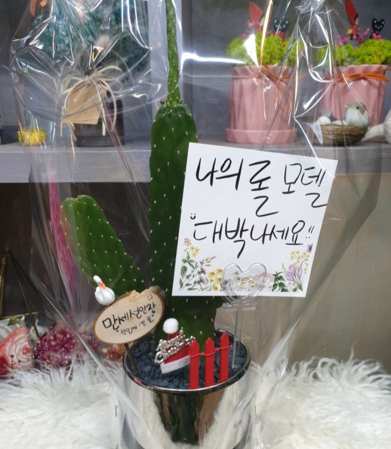 문구원 이미지