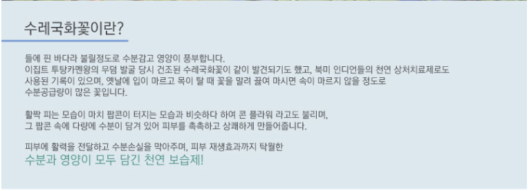 엔젤스킨 이미지