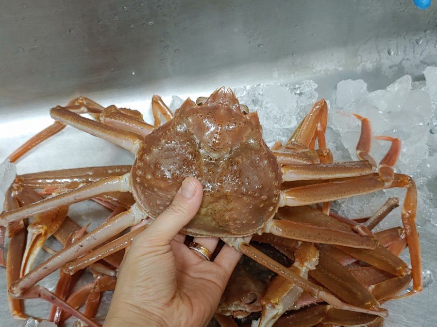 영덕대게전문점 이미지