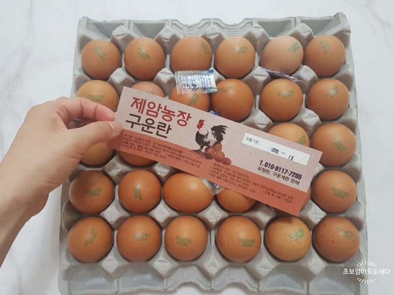 배달의계란 이미지