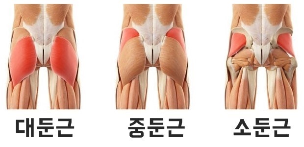 엘제이메디컬트레이닝 이미지