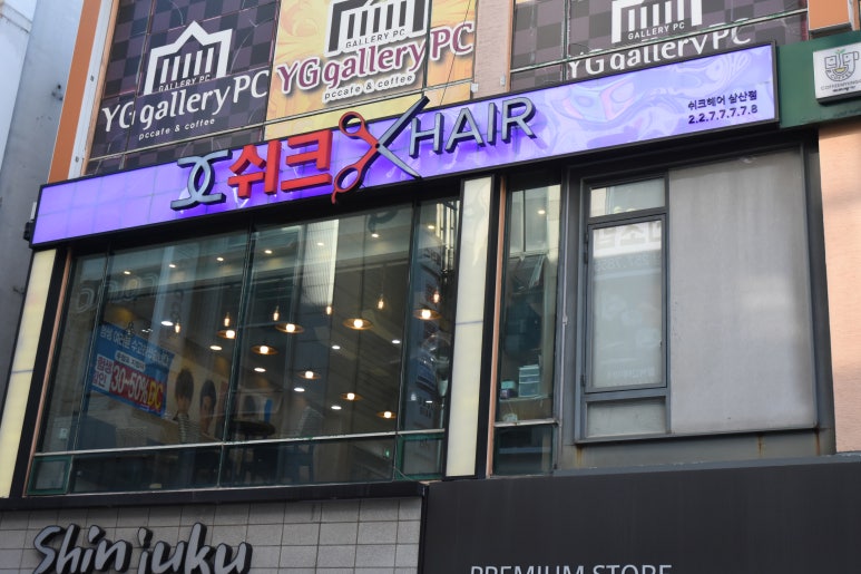 쉬크샵헤어 이미지