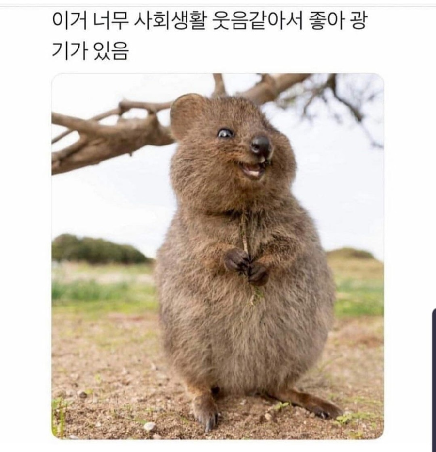 알이즈웰 이미지