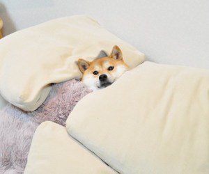 이김 이미지