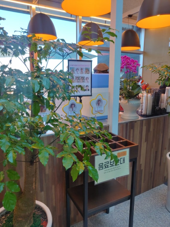 카페디노진주 이미지