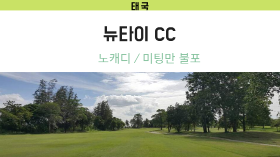 뉴타이 이미지