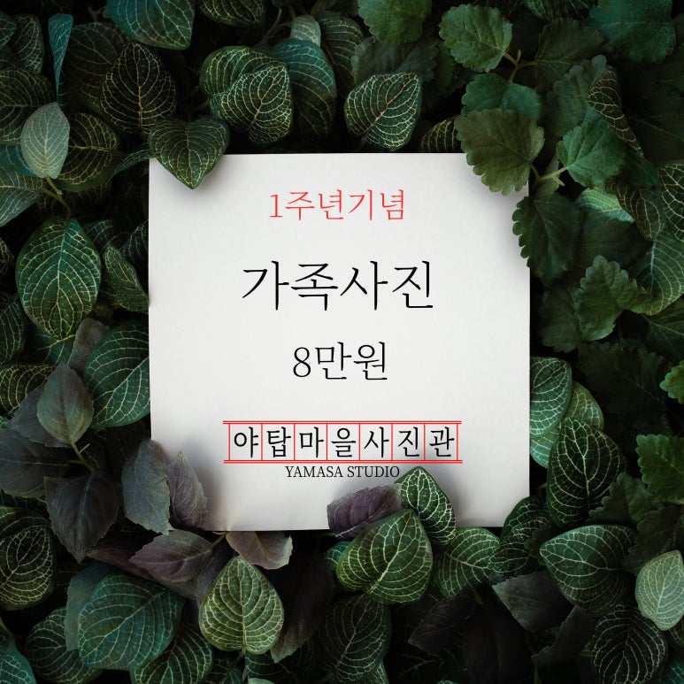 야탑마을사진관 이미지
