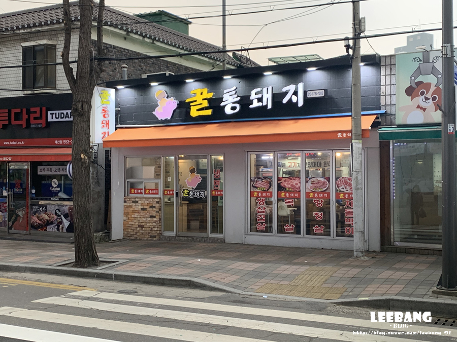 꿀통돼지 이미지
