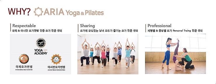 아리아컨설팅 이미지