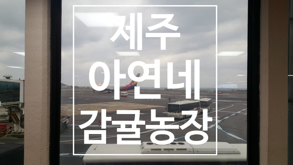 아연네감귤체험농장 이미지