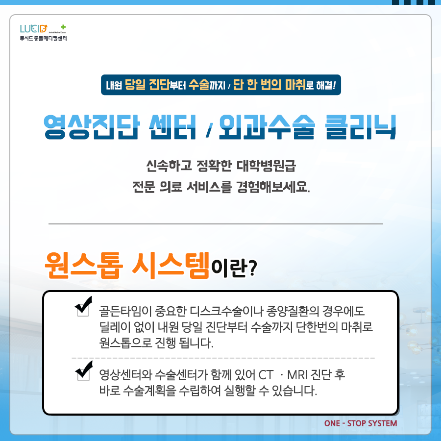 동신호 이미지