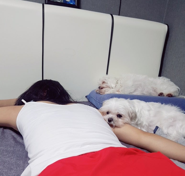 케이디렌트카 이미지