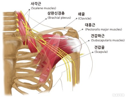똑똑한몸만들기 이미지