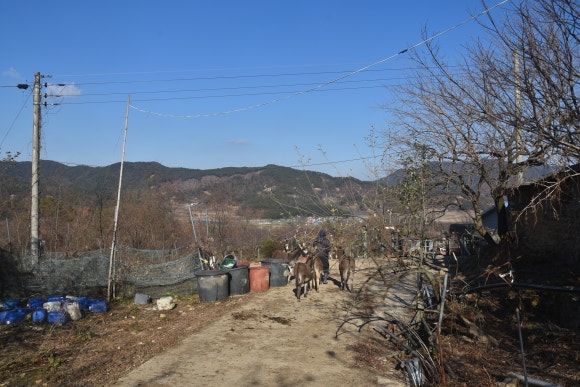 길농원 이미지