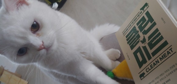 청정미트 이미지
