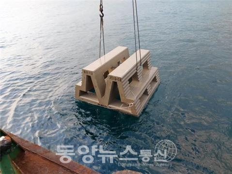 동해문어 이미지