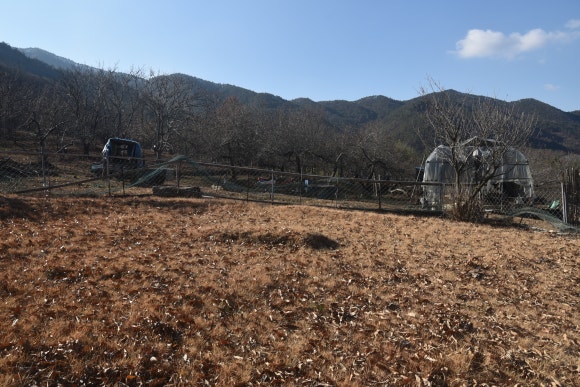 길농원 이미지
