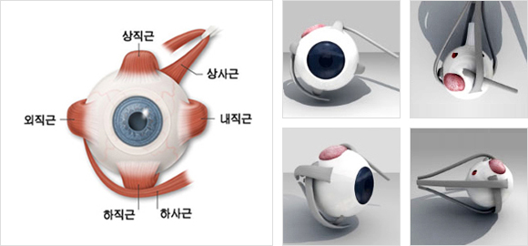 프리즘플러스 이미지