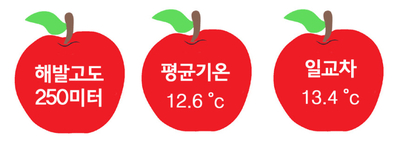 유애플 이미지