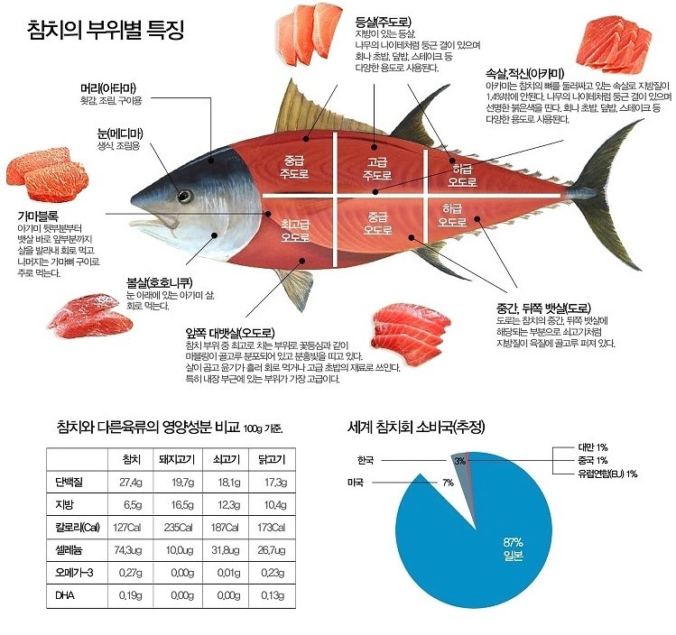 감동참치 이미지