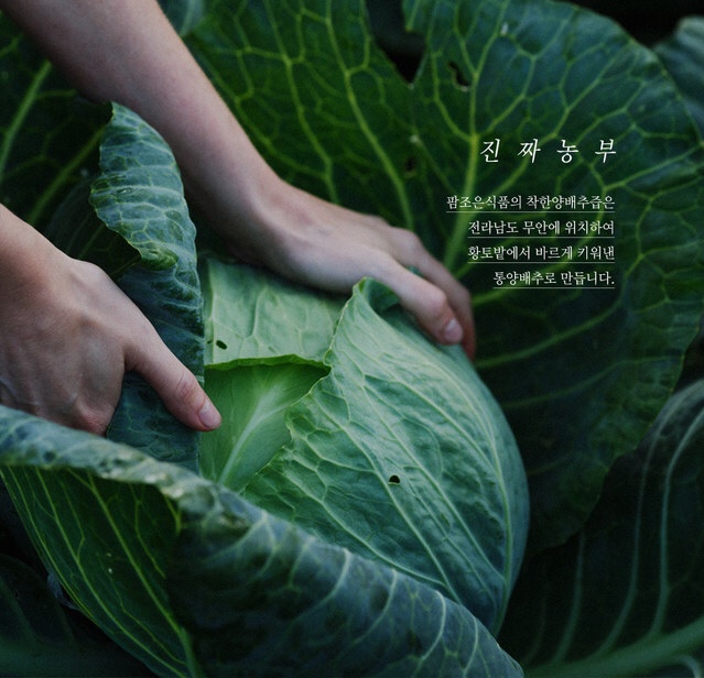 조은팜 이미지