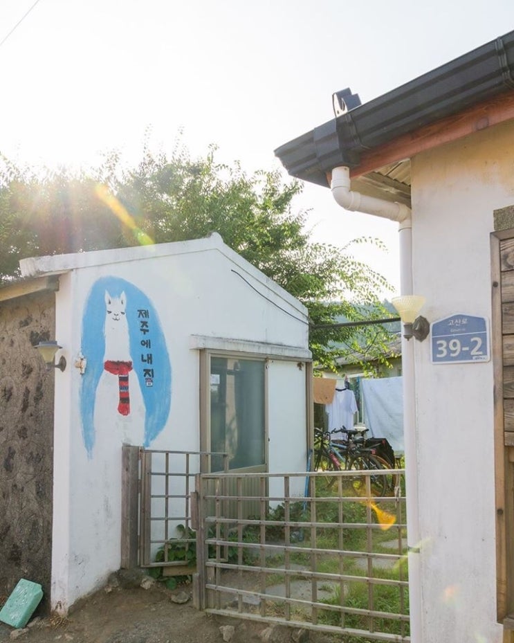 제주맑음 이미지