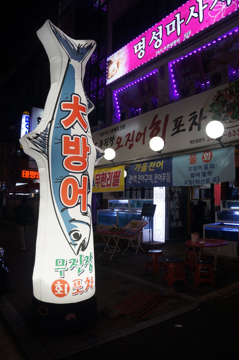 무진장 오징어회 포차 이미지
