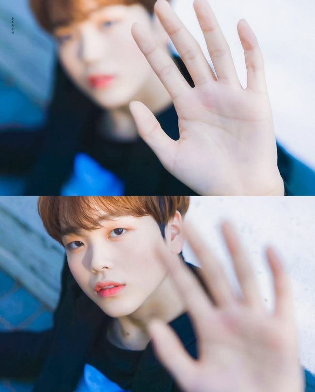 스타필름 이미지