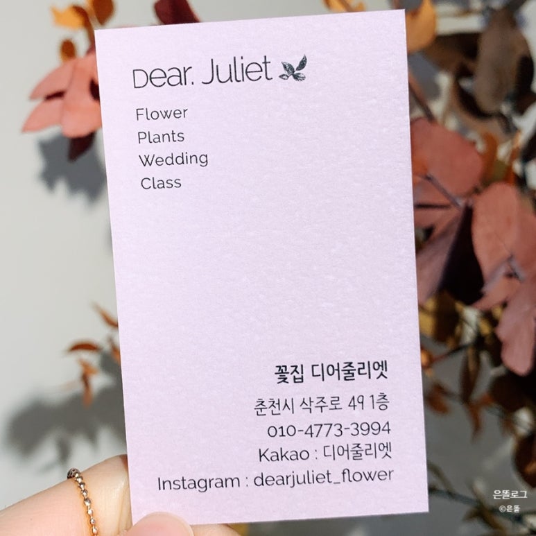 디어줄리엣 이미지