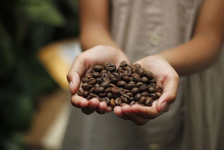 커피(coffee) 이미지