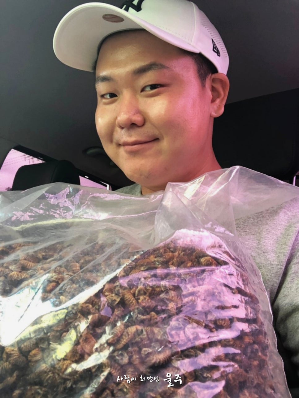 생생농장 이미지