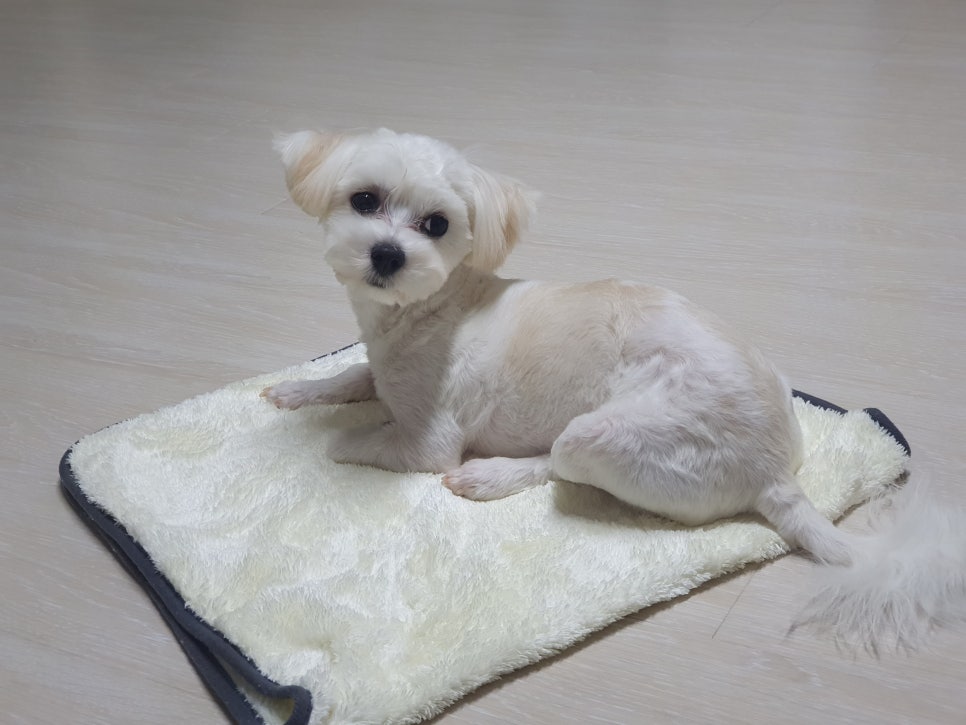 쓱싹 이미지