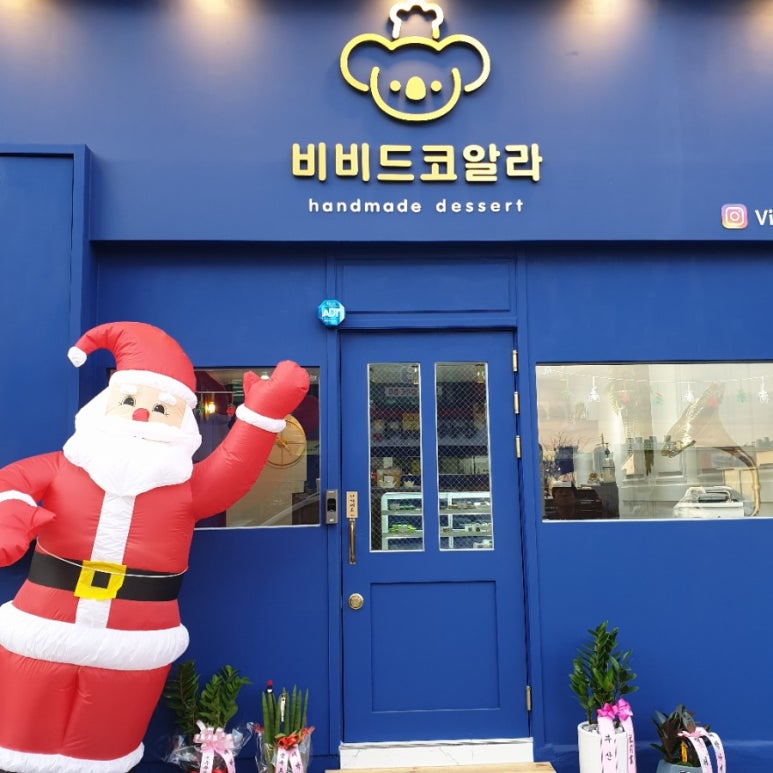 비비드코알라 이미지