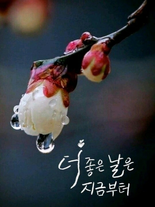 소소한일상 이미지