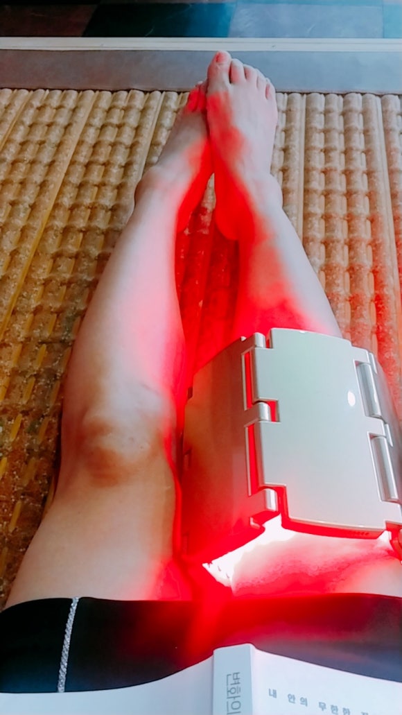 라파전위 이미지