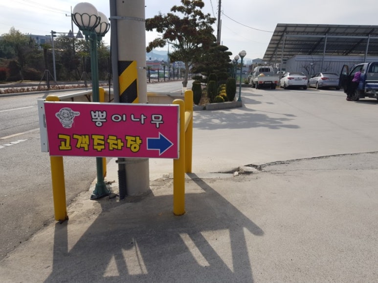 뽕이나무 이미지