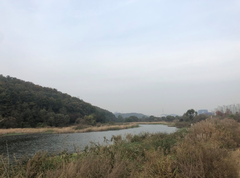 문화디자인 이미지