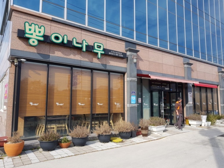 뽕이나무 이미지