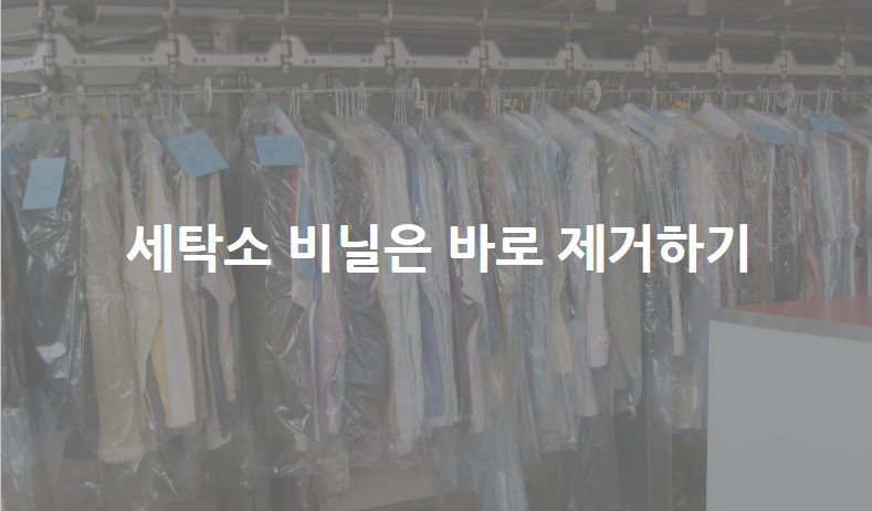 쎈스세탁크리닝 이미지