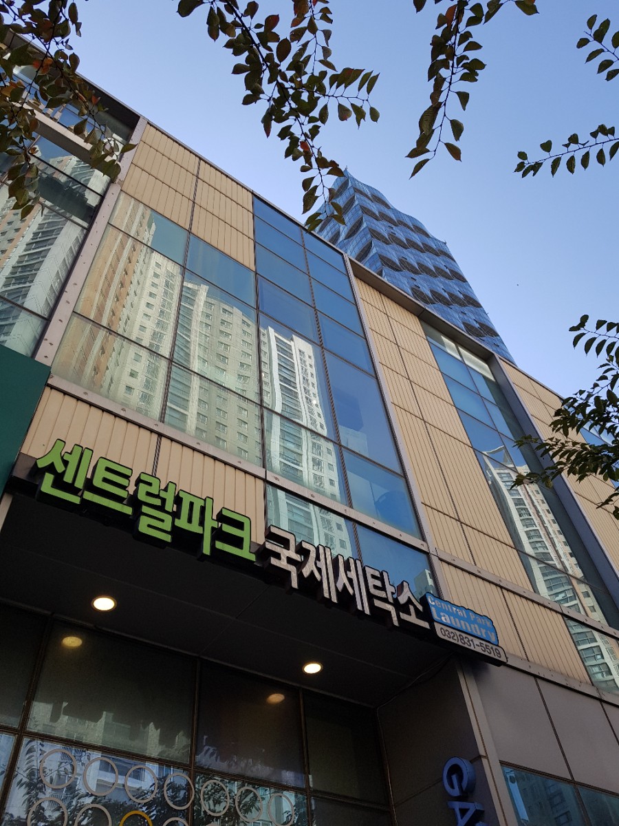 국제세탁소 이미지