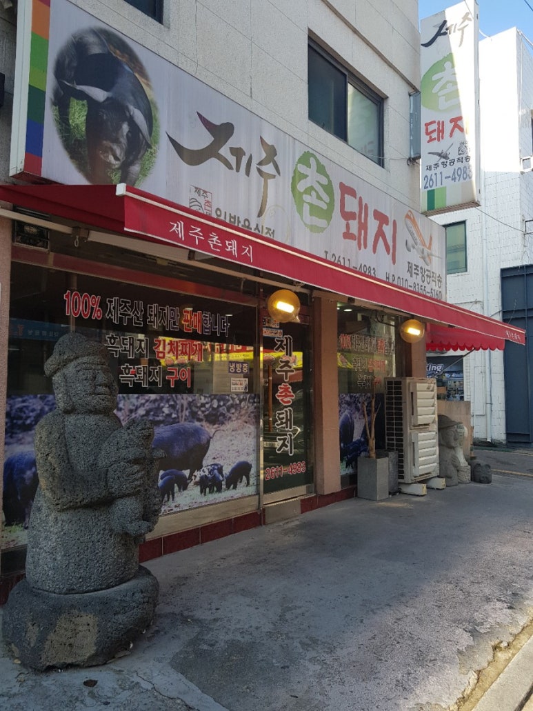 제주촌돼지 이미지