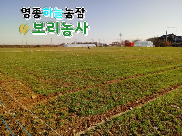 하늘농장 이미지