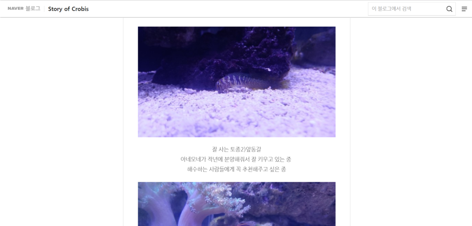 크로비스 이미지