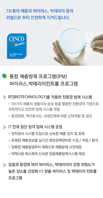 맘앤맘마 이미지
