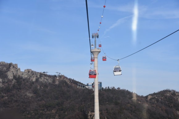 낙지골목 이미지