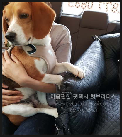 오산명당복권방 이미지