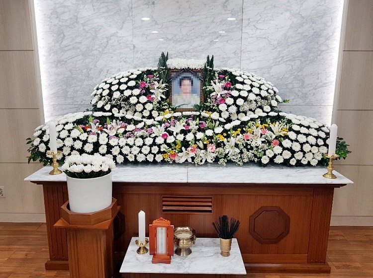 대한더라이프 이미지